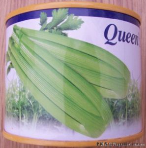 供应法国皇后—芹菜种子