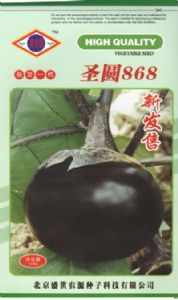 供应圣圆868—茄子种子