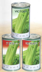 供应文图拉—芹菜种子