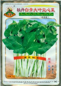 供应牡丹白骨大叶空心菜——空心菜种子