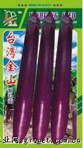 供应台湾金山紫长茄——茄子种子