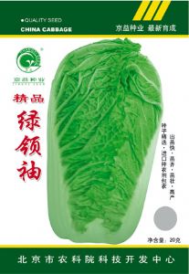 供应绿领袖——白菜种子