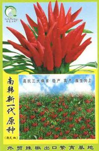 供应南韩新一代原种—辣椒种子