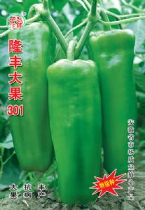 供应隆丰大果301—辣椒种子