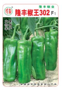 供应隆丰椒王302—辣椒种子