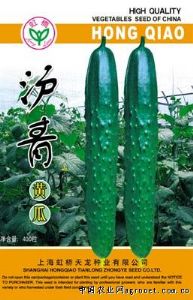供应沪青黄瓜—黄瓜种子