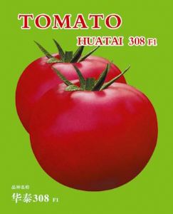 供应华泰308F1—番茄种子