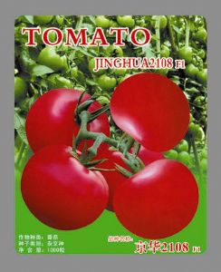 供应京华2108—番茄种子