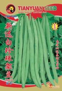 供应新选白珍珠架豆—菜豆种子