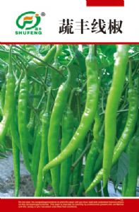 供应蔬丰线椒—辣椒种子