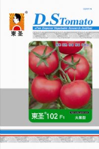 供应东圣102—番茄种子