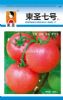 供应东圣七号——番茄种子