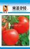 供应东圣101——番茄种子