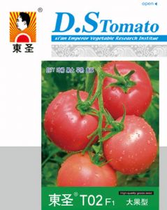 供应东圣T02—番茄种子