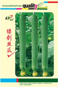 供应绿剑丝瓜—丝瓜种子
