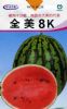供应全美8K—西瓜种子