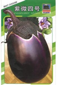 供应紫微四号——茄子种子