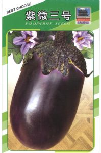 供应紫微三号——茄子种子