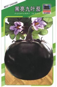 供应黑亮九叶茄——茄子种子