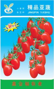 供应精品亚蔬番茄种子