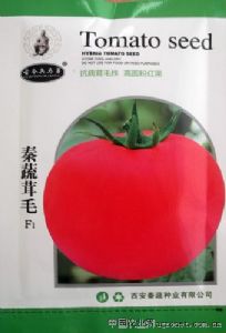 供应秦蔬茸毛F1—番茄种子