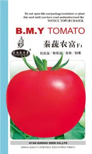 供应秦蔬农富——番茄种子
