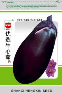 优选牛心茄——紫茄种子