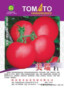 供应美瑞F1-番茄种子