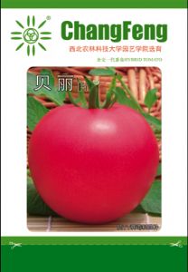 供应贝丽-抗TY粉果番茄—番茄种子