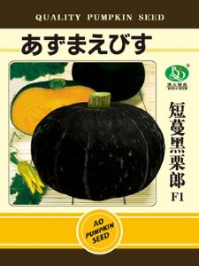 短蔓黑栗郎——南瓜种子