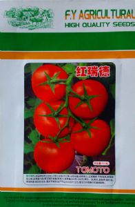 供应红瑞德-番茄种子
