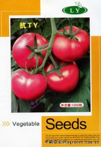 供应欧妍博F1—番茄种子