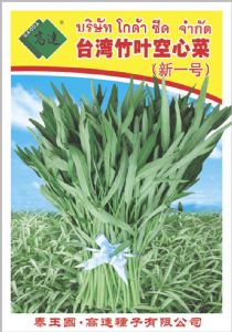 供应台湾竹叶空心菜（新一号）—蕹菜种子