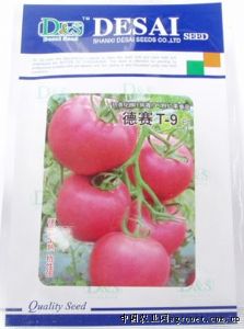 供应德赛T-9—番茄种子