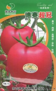 供应德赛超冠—番茄种子