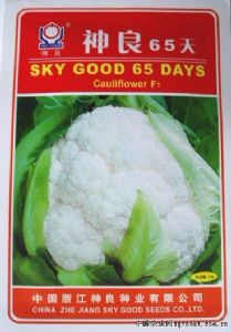 供应神良65天—花椰菜种子