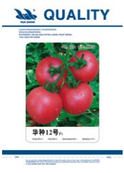 供应华种12号—番茄种子