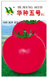 供应华种五号—番茄种子