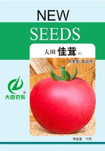 供应大田佳茸-番茄种子
