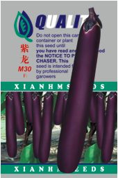 供应紫龙M30——茄子种子