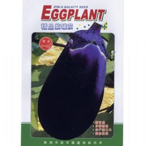 供应精品紫罐茄-茄子种子
