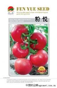 供应粉悦—番茄种子