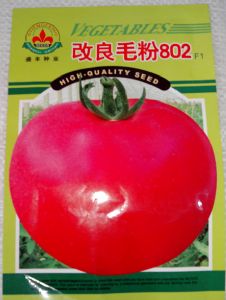 供应改良毛粉802-番茄种子