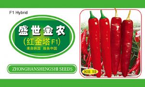 供应红金塔—辣椒种子