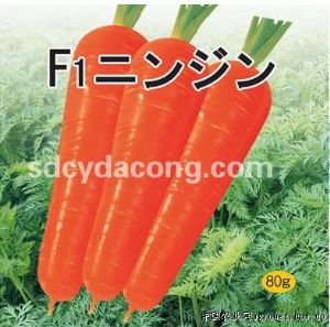 供应红冠一号—胡萝卜种子