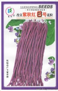 供应改良紫秋红6号——豇豆种子