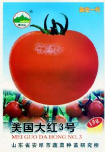 供应美国大红3号—番茄种子