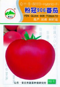 供应粉冠906番茄—番茄种子