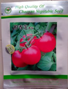 供应粉香芝2号—番茄种子
