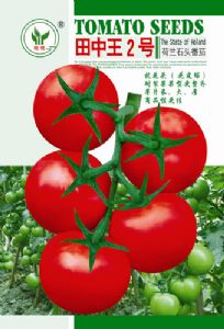 供应田中王2号—番茄种子